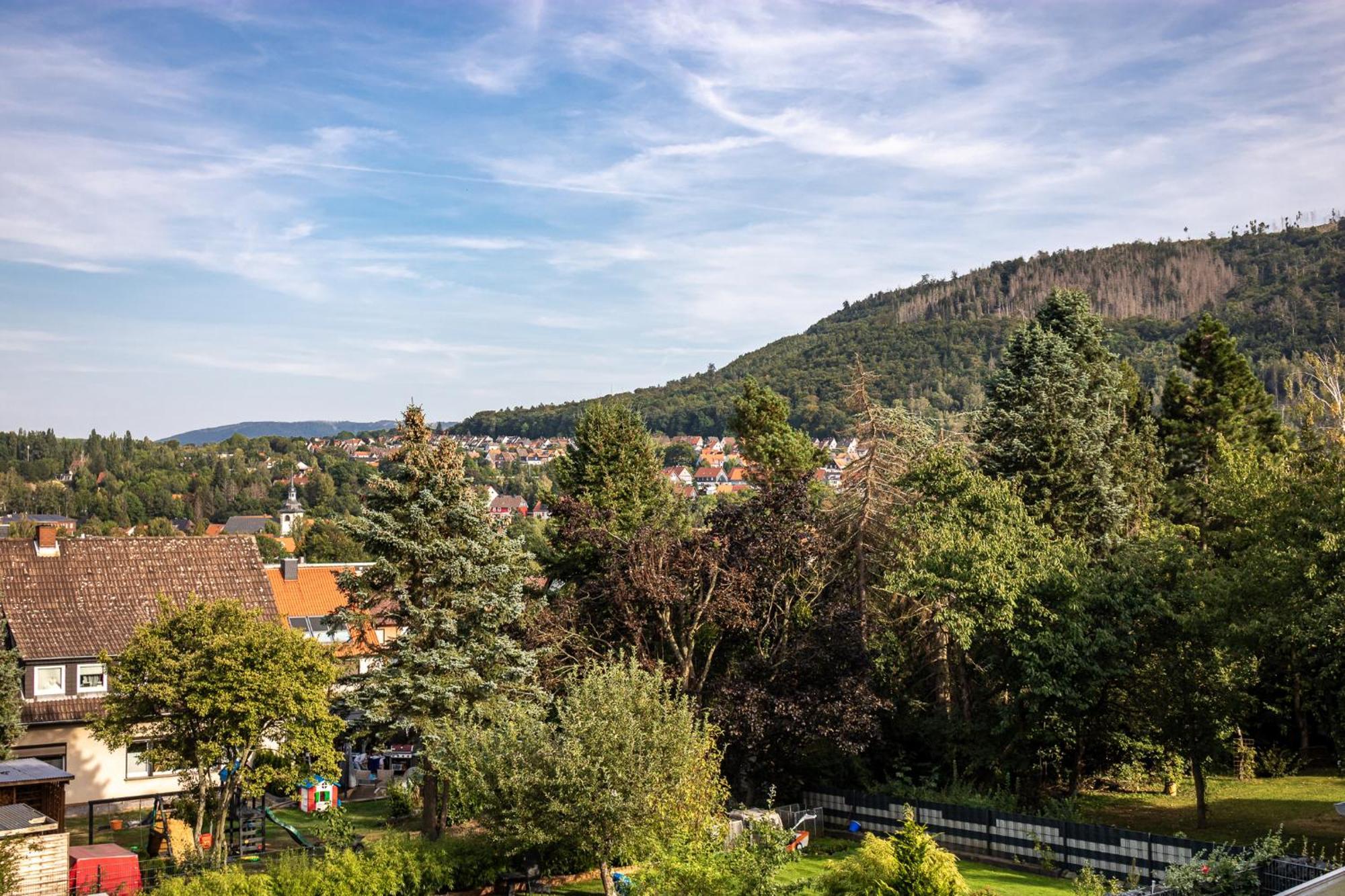 Ferienwohnung Am Bollrich Goslar Buitenkant foto